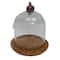 5.5" Glass Cloche with Pumpkin Knob & Wood Base by Ashland®